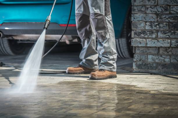 Best Driveway Pressure Washing  in Dade City North, FL